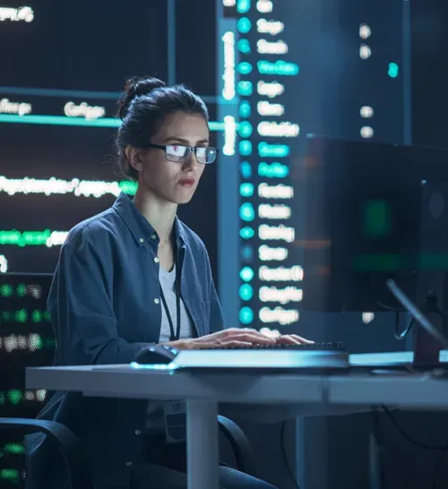 Custom Software & Business Solutions